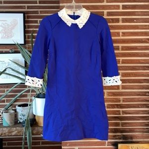 Ted Baker blue lace collar dress size 1 (4)